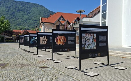 2. Ulična razstava KONJ IN ZMAJ večna spremljevalca človeštva na Mestnem trgu (2) Slovenske Konjice, FOTO Arhiv TIC Slovenske Konjice